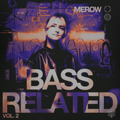BASS RELATED VOL. 2