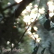 Trinket: Figure Skater