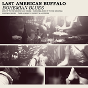 Take No More by Last American Buffalo