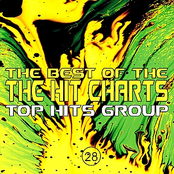 The Best of the Hit Charts, Vol. 28