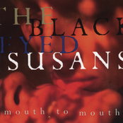 As It Was by The Blackeyed Susans