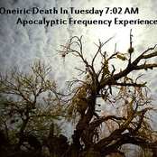 Oneiric Death In Tuesday 7:02 AM