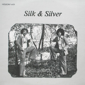 Holiday With Silk & Silver
