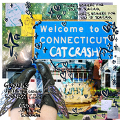 Cat Crash: Connecticut