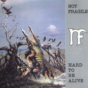 Rael by Not Fragile