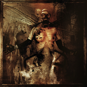 𝕱𝖆𝖓𝖙𝖆𝖘𝖎𝖊𝖘 𝕿𝖚𝖗𝖓𝖊𝖉 𝖙𝖔 𝕹𝖎𝖌𝖍𝖙𝖒𝖆𝖗𝖊