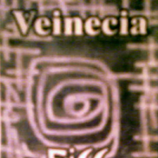 Veinecia