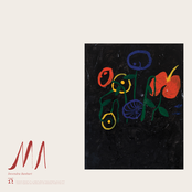 Devendra Banhart - Love Song