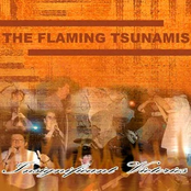 Insignificant Victories