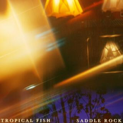 Saddle Rock