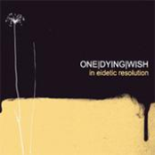 In Eidetic Resolution EP