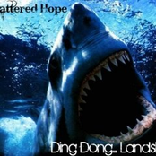 Ding Dong... LANDSHARK!