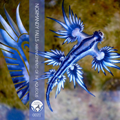 Arrangements of the Aqueous