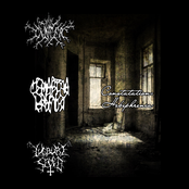 Constatation - Hebephrenia [3 Way Split Сancer, Семаргла Крылья & Lugburz Sleed]