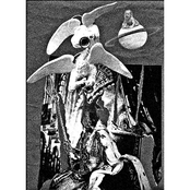 Estaciones / Salvamento