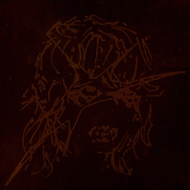 CLIMBING UP THAT WELL