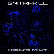 Inadequate Familiar (2008)