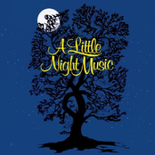 a little night music obc