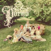 album
