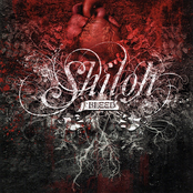 Bleed