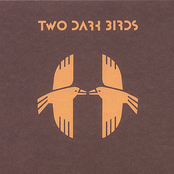 Two Dark Birds: Two Dark Birds