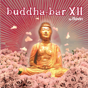 Buddha-Bar XII