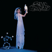 Outside The Rain by Stevie Nicks