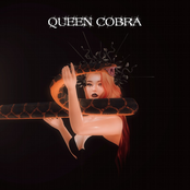 Queen Cobra