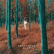 I Hear Voices / The Stalker