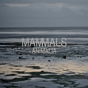 Animalia - EP