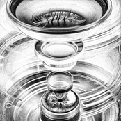 Shutter