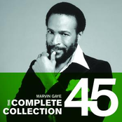 marvin gaye's greatest hits