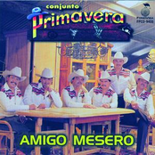 Amigo Mesero by Conjunto Primavera