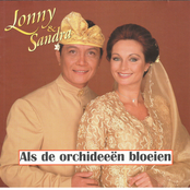 Als de orchideën bloeien