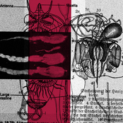 Body image disorders leading to asocial behaviors