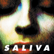 Saliva