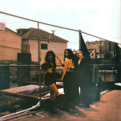 Chokecherry: Glass Jaw