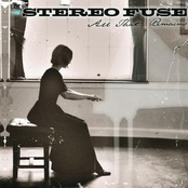 Everything by Stereo Fuse