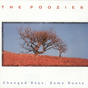 Changed Days, Same Roots