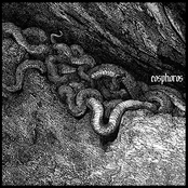 Rehearsal Demo MMXVI