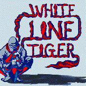 White Line Tiger