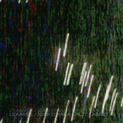 Leaaves / Josh O'Hara Split