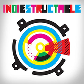 Indiestructable