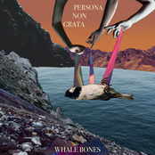 Whale Bones: Persona Non Grata