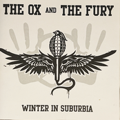 Winter In Suburbia