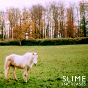 Next Time by Slime