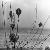 Recondite: Placid