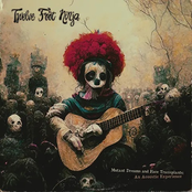 Mutant Dreams & Face Transplants: An Acoustic Experience