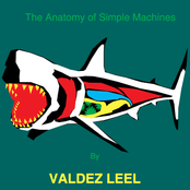 The Anatomy of Simple Machines