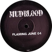Flaming June 04